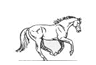 Struggle for your Life like This horse